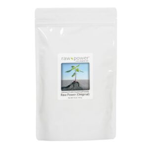 Raw Power Protein Superfood Blend